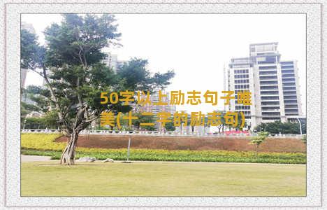 50字以上励志句子唯美(十二字的励志句)