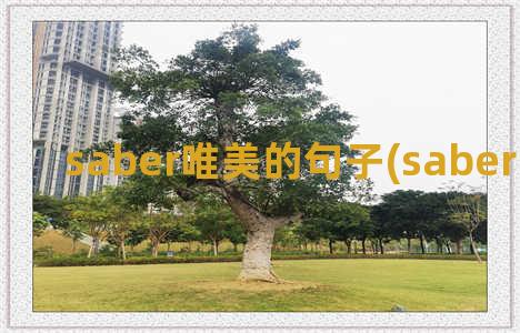 saber唯美的句子(saber唯美图片)