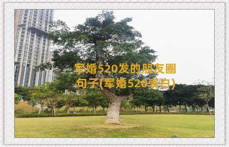 军婚520发的朋友圈句子(军婚520表白)