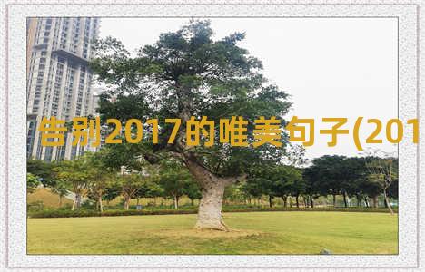 告别2017的唯美句子(2017告别茶山)