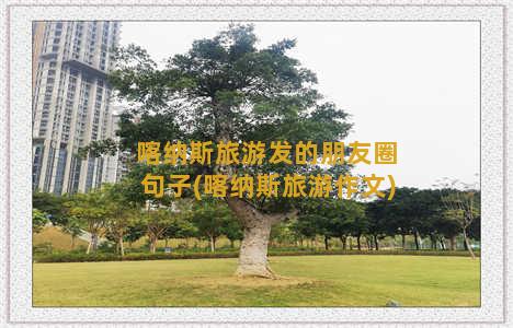 喀纳斯旅游发的朋友圈句子(喀纳斯旅游作文)