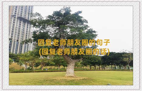 回复老师朋友圈的句子(回复老师朋友圈的话)