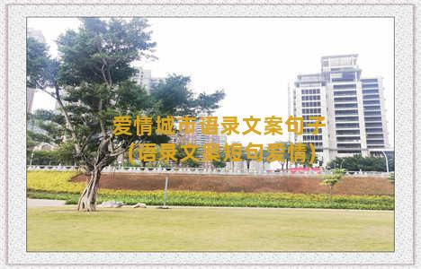 爱情城市语录文案句子(语录文案短句爱情)