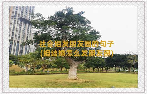 社会姐发朋友圈的句子(姐结婚怎么发朋友圈)