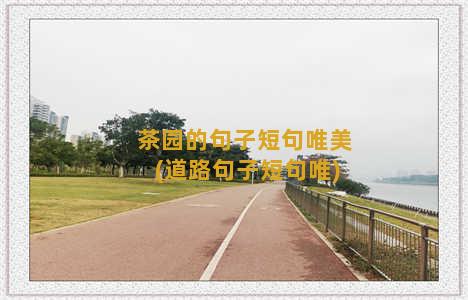 茶园的句子短句唯美(道路句子短句唯)