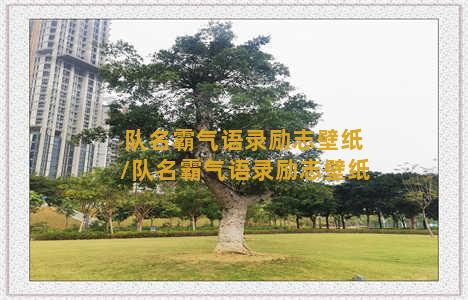 队名霸气语录励志壁纸/队名霸气语录励志壁纸